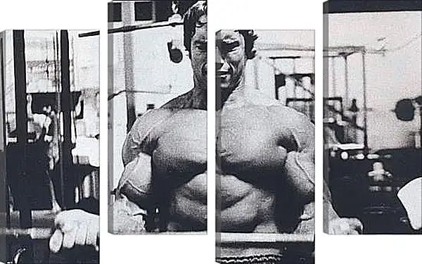 Модульная картина - Шварценеггер Арнольд (Arnold Schwarzenegger) Модульная картина - Шварценеггер Арнольд (Arnold Schwarzenegger)