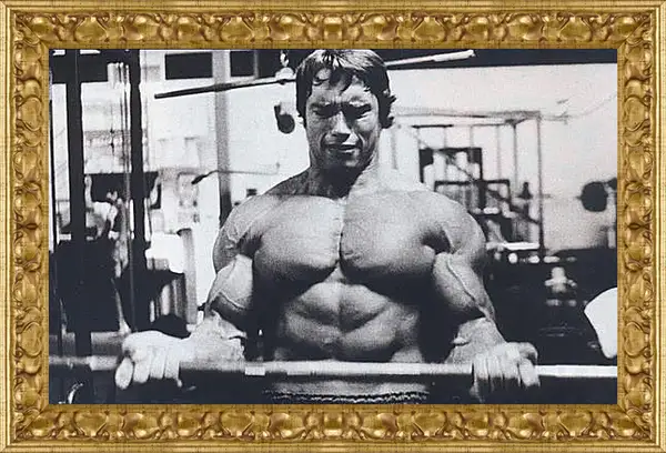Картина в раме - Шварценеггер Арнольд (Arnold Schwarzenegger) Картина в раме - Шварценеггер Арнольд (Arnold Schwarzenegger)