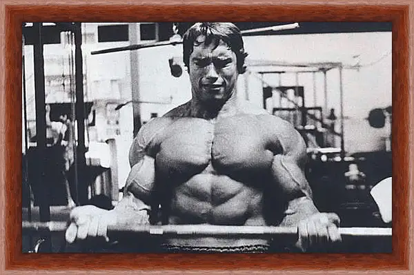 Картина в раме - Шварценеггер Арнольд (Arnold Schwarzenegger) Картина в раме - Шварценеггер Арнольд (Arnold Schwarzenegger)