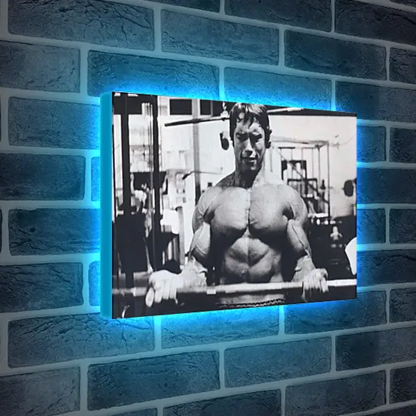 Лайтбокс световая панель - Шварценеггер Арнольд (Arnold Schwarzenegger) Лайтбокс световая панель - Шварценеггер Арнольд (Arnold Schwarzenegger)