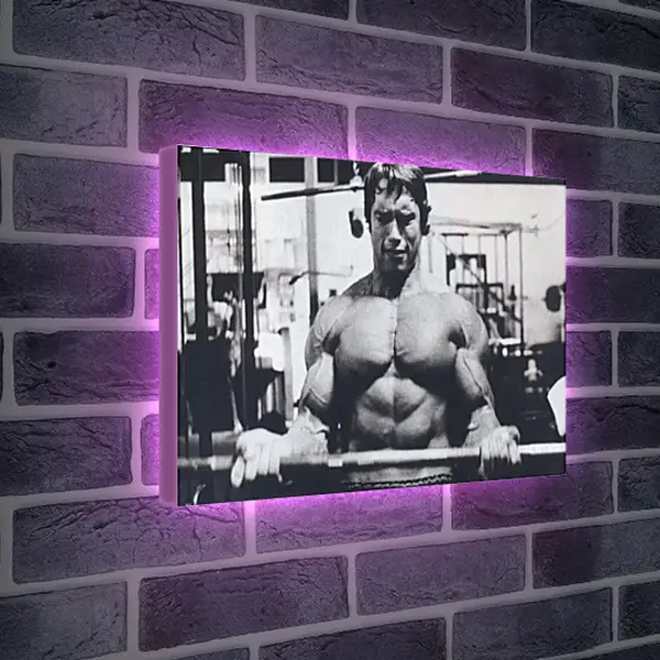 Лайтбокс световая панель - Шварценеггер Арнольд (Arnold Schwarzenegger) Лайтбокс световая панель - Шварценеггер Арнольд (Arnold Schwarzenegger)
