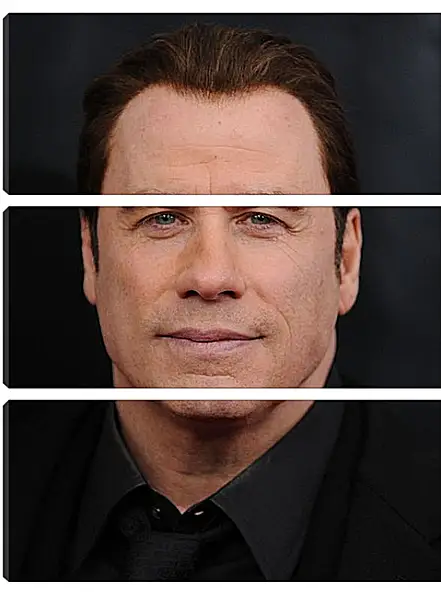 Модульная картина - Джон Траволта. John Travolta Модульная картина - Джон Траволта. John Travolta