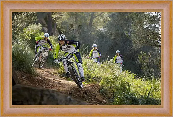 Картина в раме - Спорт Картина в раме - Спорт