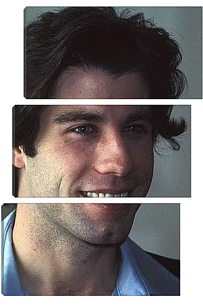 Модульная картина - Джон Траволта. John Travolta Модульная картина - Джон Траволта. John Travolta