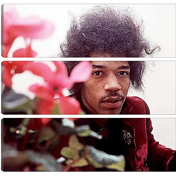 Модульная картина - Джими Хендрикс. Jimi Hendrix Модульная картина - Джими Хендрикс. Jimi Hendrix