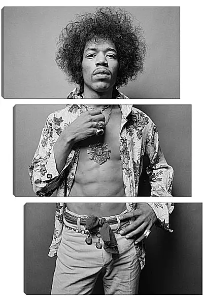 Модульная картина - Джими Хендрикс. Jimi Hendrix Модульная картина - Джими Хендрикс. Jimi Hendrix