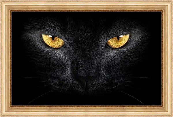 Картина в раме - Взгляд черного кота Картина в раме - Взгляд черного кота