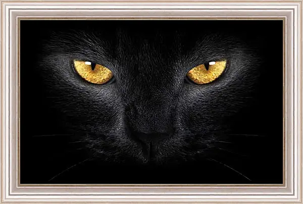 Картина в раме - Взгляд черного кота Картина в раме - Взгляд черного кота