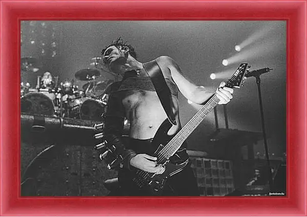 Картина в раме - Rammstein (Рамштайн) Картина в раме - Rammstein (Рамштайн)