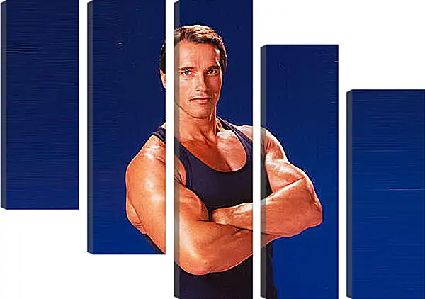 Модульная картина - Арнольд Шварценеггер (Arnold Schwarzenegger) Модульная картина - Арнольд Шварценеггер (Arnold Schwarzenegger)