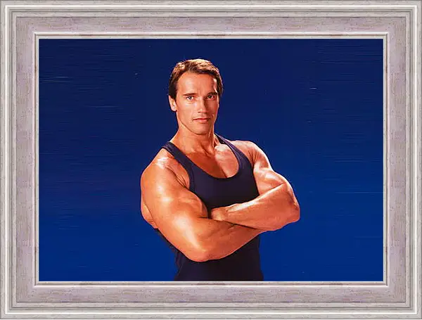 Картина в раме - Арнольд Шварценеггер (Arnold Schwarzenegger) Картина в раме - Арнольд Шварценеггер (Arnold Schwarzenegger)
