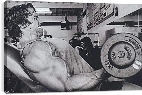 Постер на подрамнике - Арнольд Шварценеггер (Arnold Schwarzenegger) Постер на подрамнике - Арнольд Шварценеггер (Arnold Schwarzenegger)