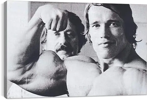 Постер на подрамнике - Арнольд Шварценеггер (Arnold Schwarzenegger) Постер на подрамнике - Арнольд Шварценеггер (Arnold Schwarzenegger)