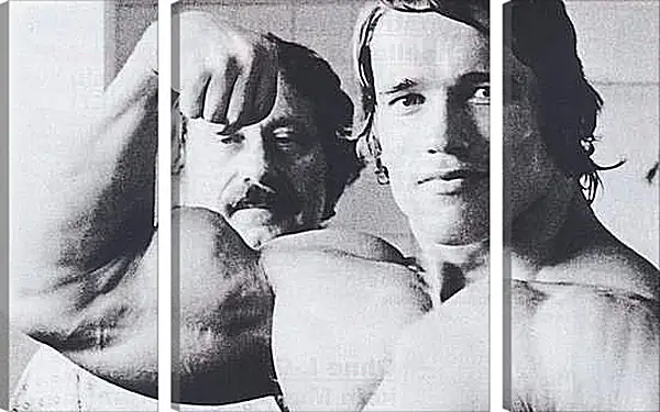 Модульная картина - Арнольд Шварценеггер (Arnold Schwarzenegger) Модульная картина - Арнольд Шварценеггер (Arnold Schwarzenegger)