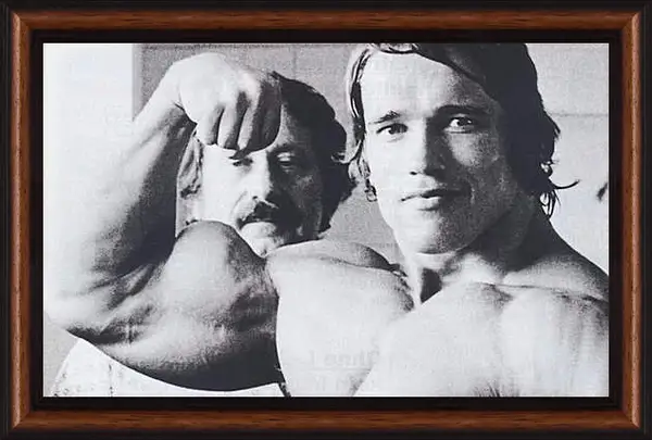 Картина в раме - Арнольд Шварценеггер (Arnold Schwarzenegger) Картина в раме - Арнольд Шварценеггер (Arnold Schwarzenegger)
