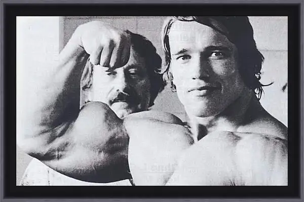 Картина в раме - Арнольд Шварценеггер (Arnold Schwarzenegger) Картина в раме - Арнольд Шварценеггер (Arnold Schwarzenegger)