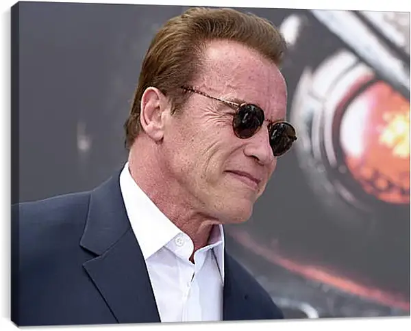 Постер на подрамнике - Арнольд Шварценеггер (Arnold Schwarzenegger) Постер на подрамнике - Арнольд Шварценеггер (Arnold Schwarzenegger)