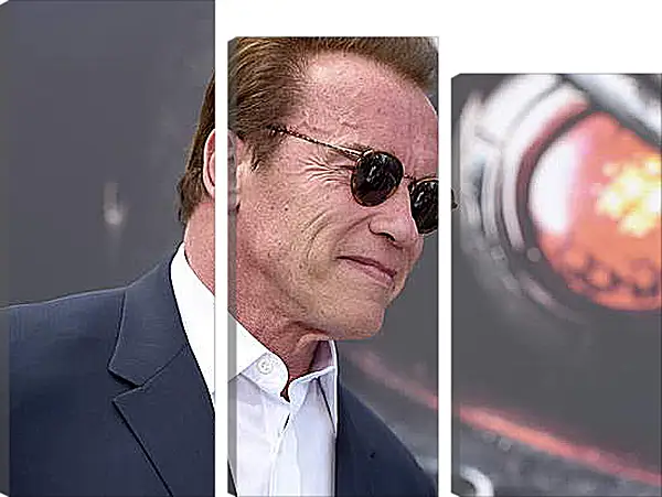 Модульная картина - Арнольд Шварценеггер (Arnold Schwarzenegger) Модульная картина - Арнольд Шварценеггер (Arnold Schwarzenegger)