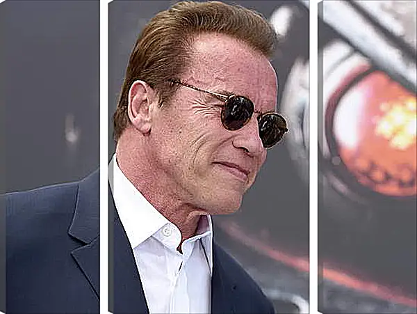 Модульная картина - Арнольд Шварценеггер (Arnold Schwarzenegger) Модульная картина - Арнольд Шварценеггер (Arnold Schwarzenegger)