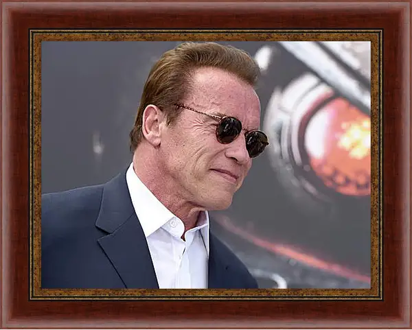 Картина в раме - Арнольд Шварценеггер (Arnold Schwarzenegger) Картина в раме - Арнольд Шварценеггер (Arnold Schwarzenegger)