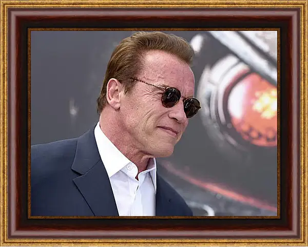 Картина в раме - Арнольд Шварценеггер (Arnold Schwarzenegger) Картина в раме - Арнольд Шварценеггер (Arnold Schwarzenegger)