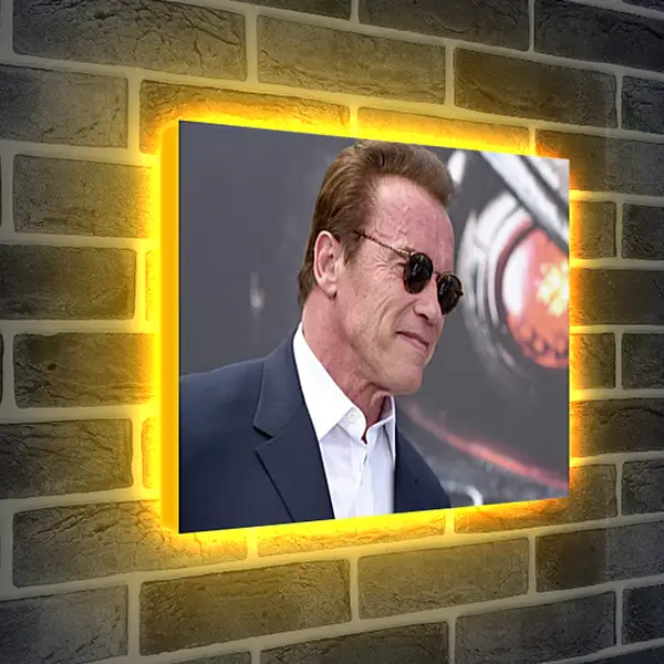 Лайтбокс световая панель - Арнольд Шварценеггер (Arnold Schwarzenegger) Лайтбокс световая панель - Арнольд Шварценеггер (Arnold Schwarzenegger)