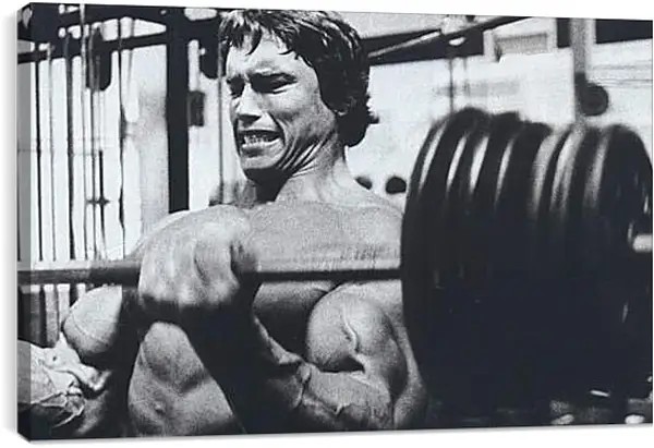 Постер на подрамнике - Арнольд Шварценеггер (Arnold Schwarzenegger) Постер на подрамнике - Арнольд Шварценеггер (Arnold Schwarzenegger)