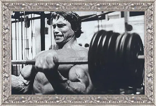 Картина в раме - Арнольд Шварценеггер (Arnold Schwarzenegger) Картина в раме - Арнольд Шварценеггер (Arnold Schwarzenegger)