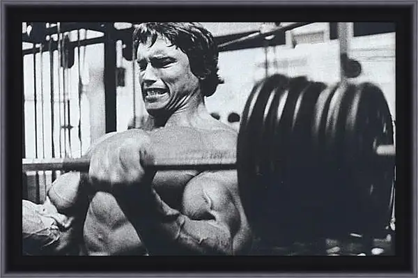Картина в раме - Арнольд Шварценеггер (Arnold Schwarzenegger) Картина в раме - Арнольд Шварценеггер (Arnold Schwarzenegger)