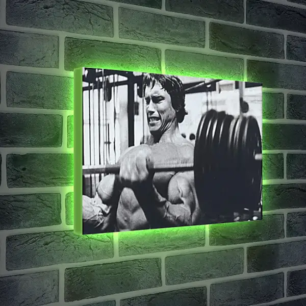 Лайтбокс световая панель - Арнольд Шварценеггер (Arnold Schwarzenegger) Лайтбокс световая панель - Арнольд Шварценеггер (Arnold Schwarzenegger)