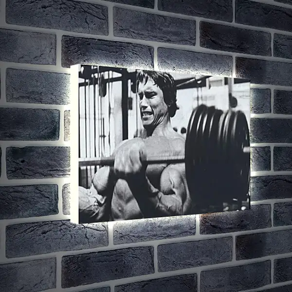 Лайтбокс световая панель - Арнольд Шварценеггер (Arnold Schwarzenegger) Лайтбокс световая панель - Арнольд Шварценеггер (Arnold Schwarzenegger)