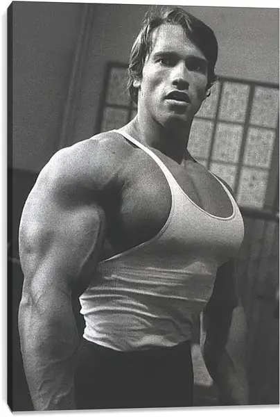 Постер на подрамнике - Арнольд Шварценеггер (Arnold Schwarzenegger) Постер на подрамнике - Арнольд Шварценеггер (Arnold Schwarzenegger)