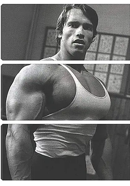 Модульная картина - Арнольд Шварценеггер (Arnold Schwarzenegger) Модульная картина - Арнольд Шварценеггер (Arnold Schwarzenegger)