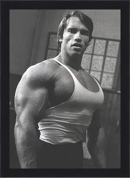 Картина в раме - Арнольд Шварценеггер (Arnold Schwarzenegger) Картина в раме - Арнольд Шварценеггер (Arnold Schwarzenegger)