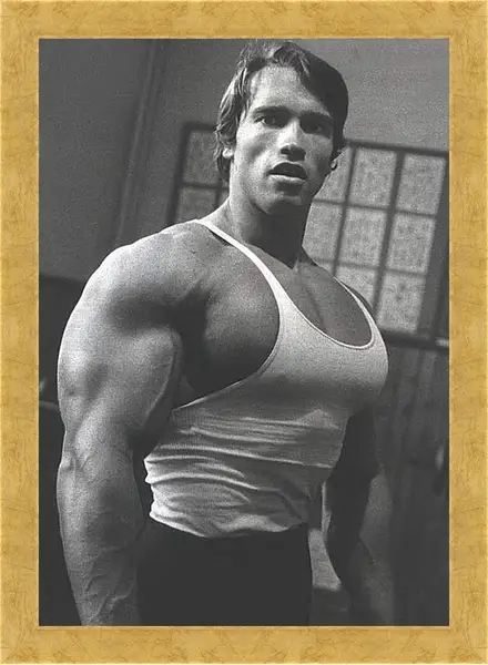Картина в раме - Арнольд Шварценеггер (Arnold Schwarzenegger) Картина в раме - Арнольд Шварценеггер (Arnold Schwarzenegger)