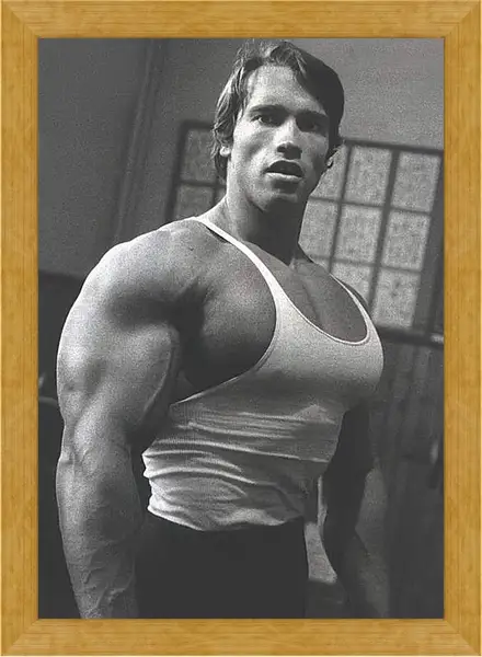 Картина в раме - Арнольд Шварценеггер (Arnold Schwarzenegger) Картина в раме - Арнольд Шварценеггер (Arnold Schwarzenegger)