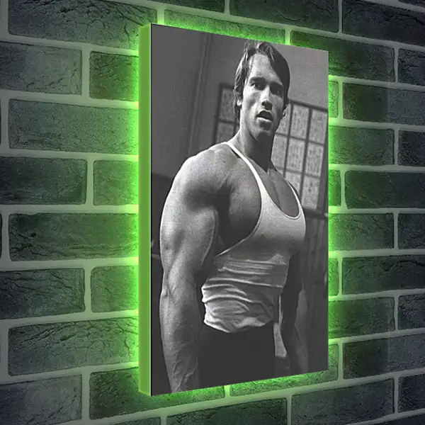 Лайтбокс световая панель - Арнольд Шварценеггер (Arnold Schwarzenegger) Лайтбокс световая панель - Арнольд Шварценеггер (Arnold Schwarzenegger)