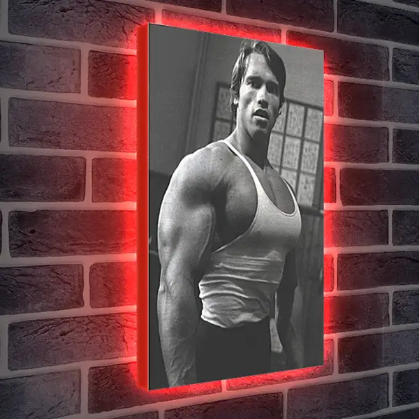 Лайтбокс световая панель - Арнольд Шварценеггер (Arnold Schwarzenegger) Лайтбокс световая панель - Арнольд Шварценеггер (Arnold Schwarzenegger)