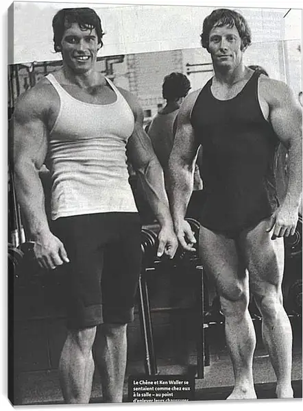 Постер на подрамнике - Арнольд Шварценеггер (Arnold Schwarzenegger) Постер на подрамнике - Арнольд Шварценеггер (Arnold Schwarzenegger)