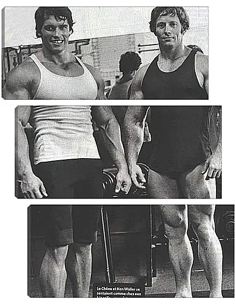 Модульная картина - Арнольд Шварценеггер (Arnold Schwarzenegger) Модульная картина - Арнольд Шварценеггер (Arnold Schwarzenegger)