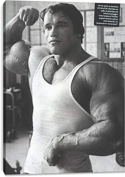 Постер на подрамнике - Арнольд Шварценеггер (Arnold Schwarzenegger) Постер на подрамнике - Арнольд Шварценеггер (Arnold Schwarzenegger)