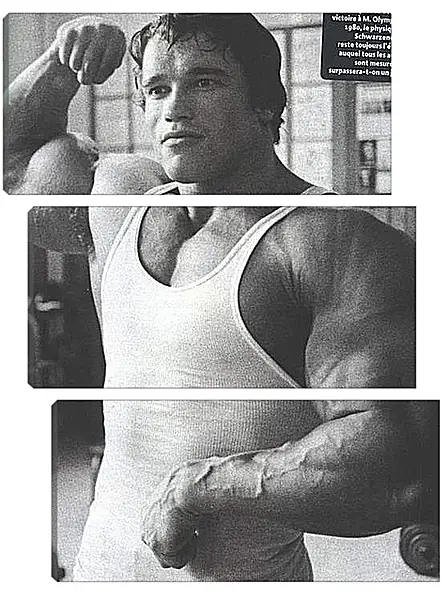 Модульная картина - Арнольд Шварценеггер (Arnold Schwarzenegger) Модульная картина - Арнольд Шварценеггер (Arnold Schwarzenegger)
