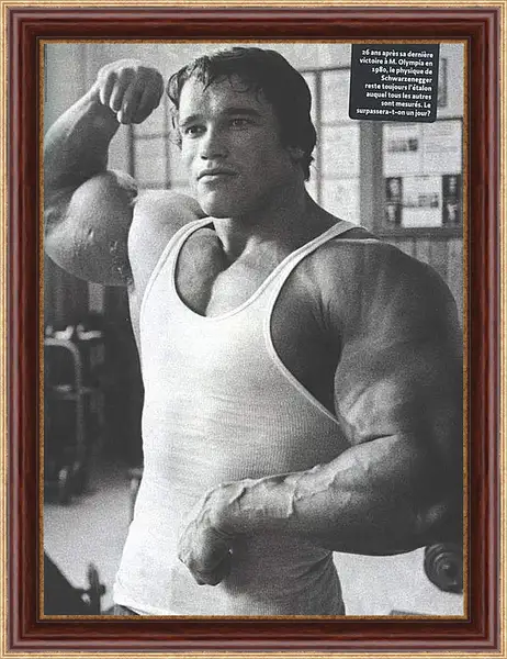 Картина в раме - Арнольд Шварценеггер (Arnold Schwarzenegger) Картина в раме - Арнольд Шварценеггер (Arnold Schwarzenegger)
