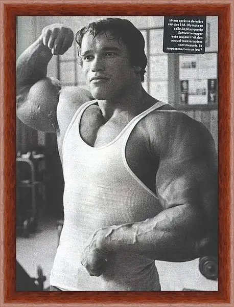 Картина в раме - Арнольд Шварценеггер (Arnold Schwarzenegger) Картина в раме - Арнольд Шварценеггер (Arnold Schwarzenegger)