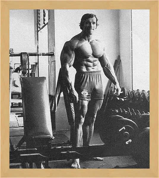Картина в раме - Арнольд Шварценеггер (Arnold Schwarzenegger) Картина в раме - Арнольд Шварценеггер (Arnold Schwarzenegger)
