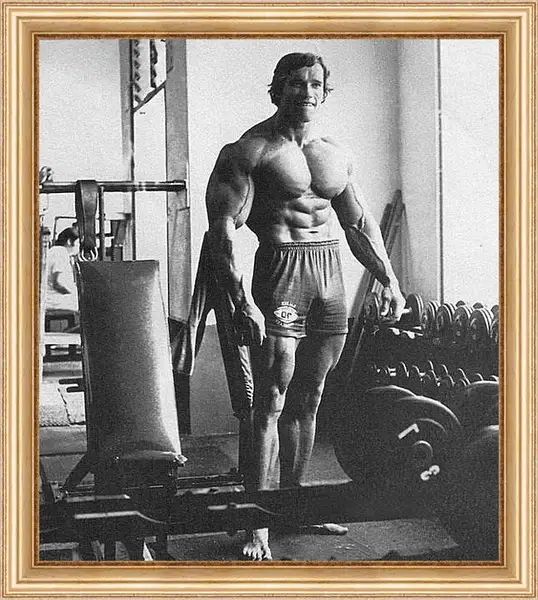 Картина в раме - Арнольд Шварценеггер (Arnold Schwarzenegger) Картина в раме - Арнольд Шварценеггер (Arnold Schwarzenegger)