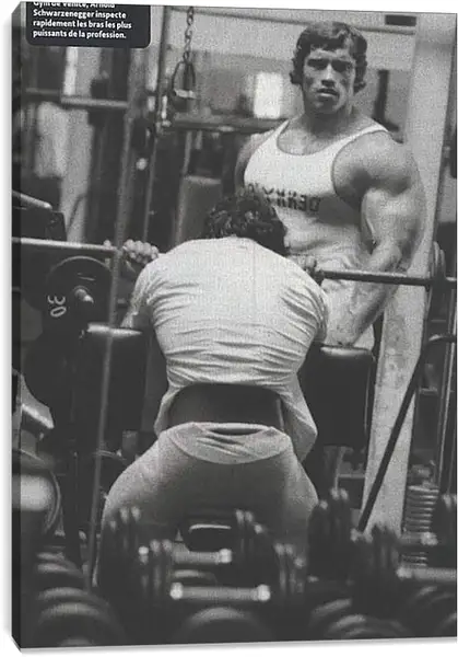 Постер на подрамнике - Арнольд Шварценеггер (Arnold Schwarzenegger) Постер на подрамнике - Арнольд Шварценеггер (Arnold Schwarzenegger)