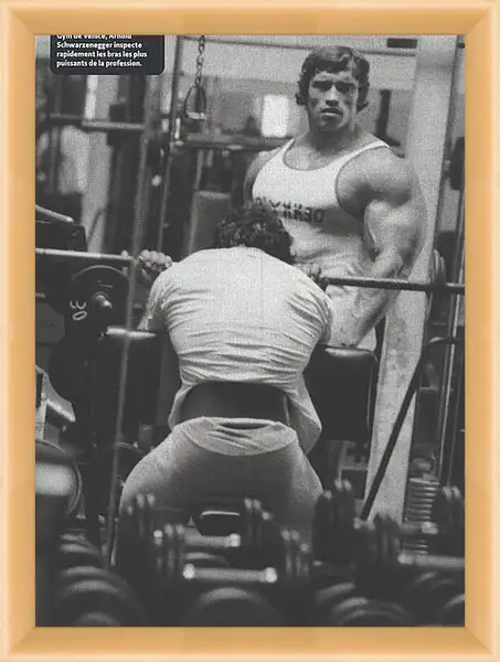 Картина в раме - Арнольд Шварценеггер (Arnold Schwarzenegger) Картина в раме - Арнольд Шварценеггер (Arnold Schwarzenegger)