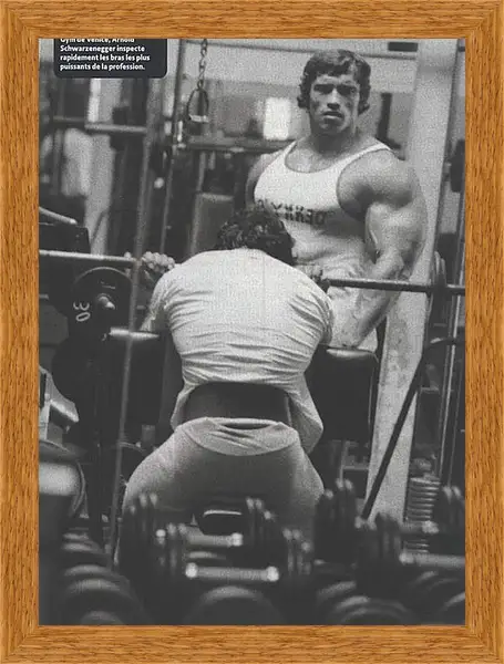 Картина в раме - Арнольд Шварценеггер (Arnold Schwarzenegger) Картина в раме - Арнольд Шварценеггер (Arnold Schwarzenegger)
