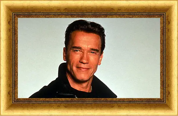 Картина в раме - Арнольд Шварценеггер (Arnold Schwarzenegger) Картина в раме - Арнольд Шварценеггер (Arnold Schwarzenegger)